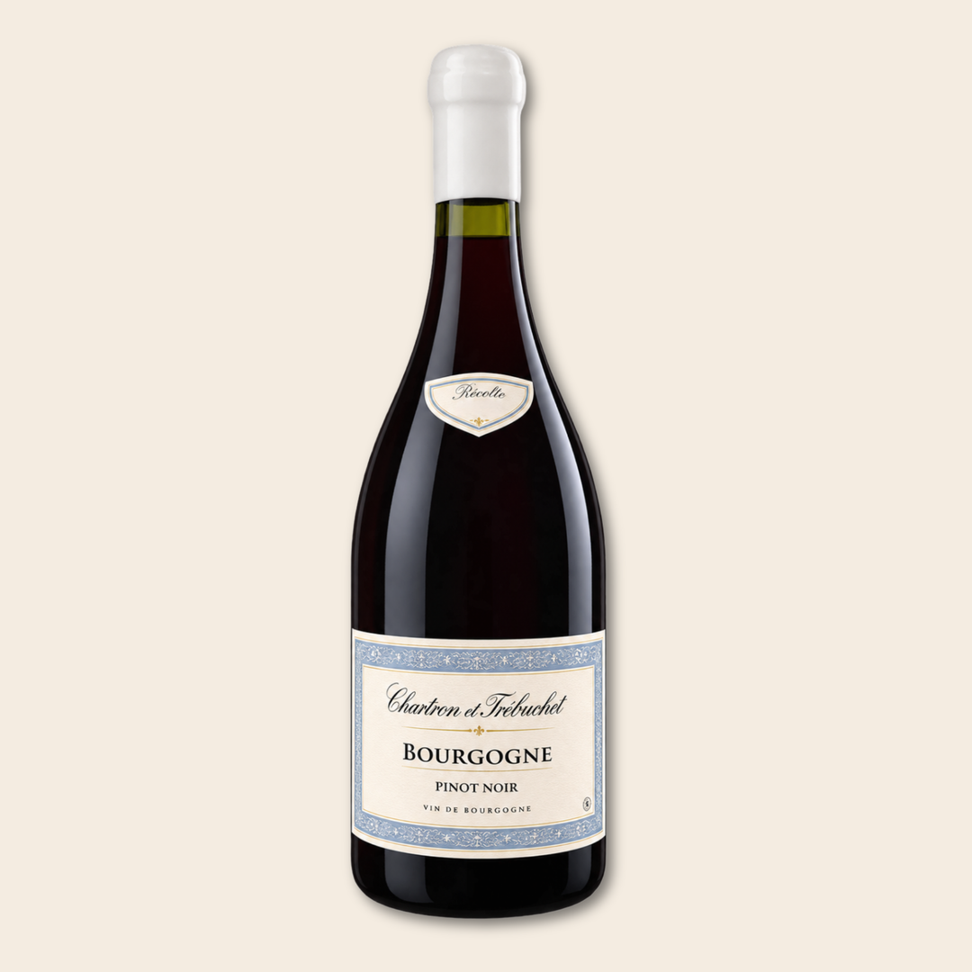 Pinot Noir - Premium Burgundy 2023