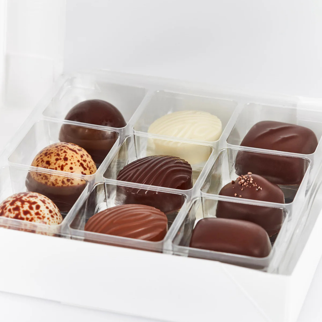 Summerbird Collection