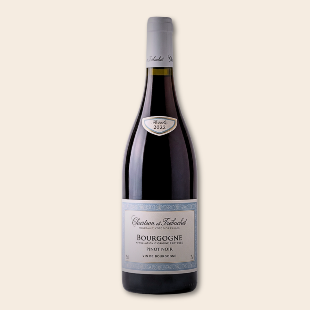 Pinot Noir - Bourgogne 2022