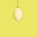 Porcelæns-Citron - Lysegul